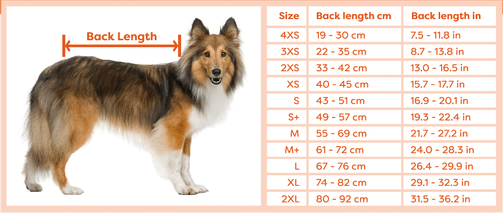 Premium Dog Recovery Suit - Suitical Brand for Post - Surgery and Various Conditions