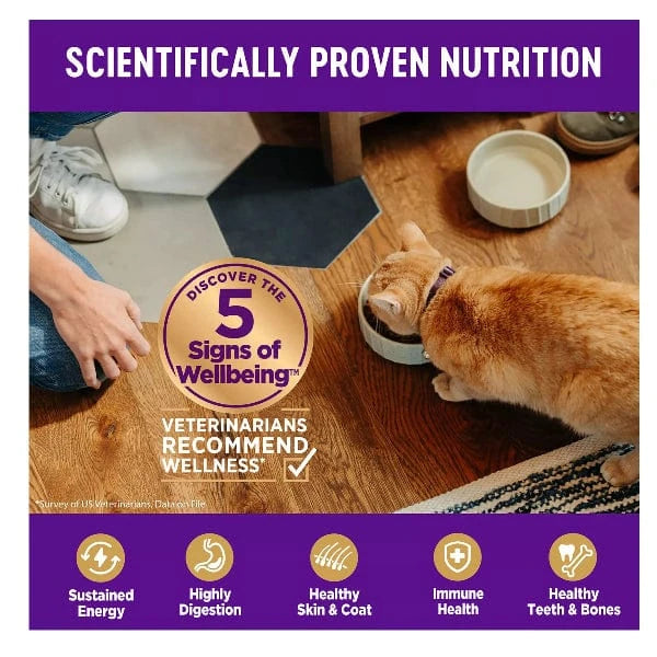 Wellness Complete Health Indoor Cat Grain - Free Dry Cat Food for Healthy Weight Management