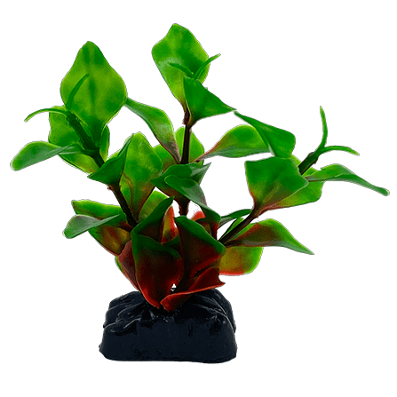 Decorative Plastic Aquarium Fish Gear - Hygrophila Corymbosa Betta Plants Set of 3