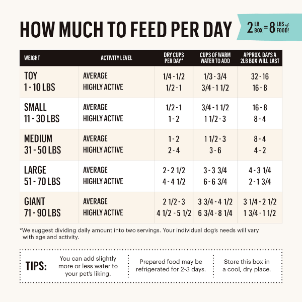 The Honest Kitchen Dehydrated Grain - Free Chicken Recipe Dog Food