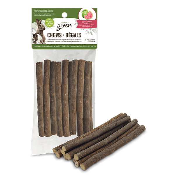 Living World Natural Green Chews - Delightful Guava Wood Sticks for Small Animals