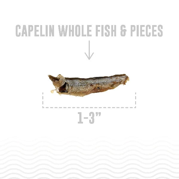 Icelandic Capelin Whole Fish Special Order Cat Treats for Feline Delight