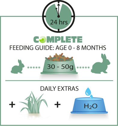 Versele-Laga High-Quality Complete Food for Junior (Dwarf) Rabbits Aged 0 - 8 Months