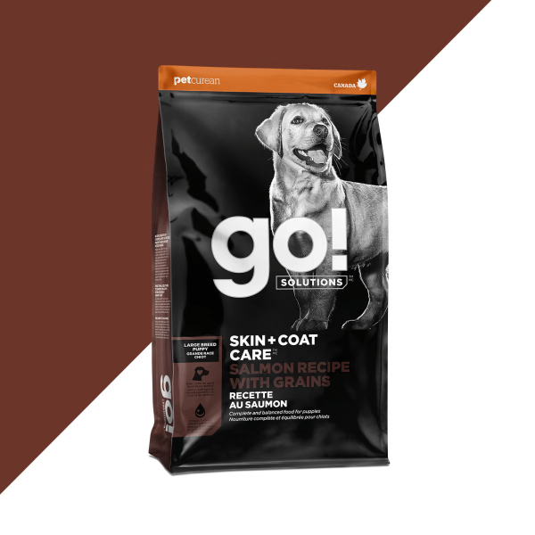 Go! Solutions Premium Dry Puppy Food for Large Breeds - Skin & Coat Care with Salmon and Grains Recipe