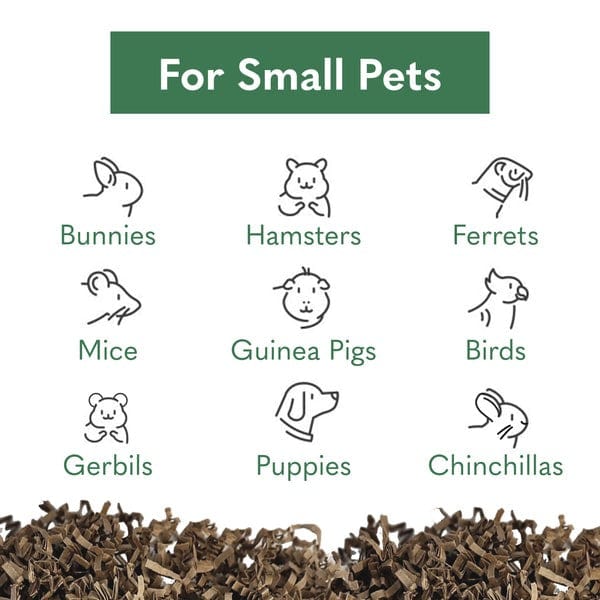 Environmentally Friendly Bedding Solutions for Small Pets
