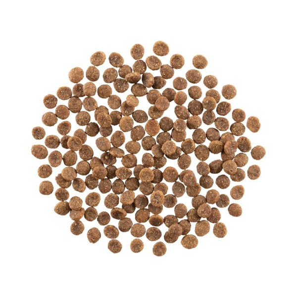 Go! Solutions Premium Dry Cat Food with Chicken Recipe and Grains for Hairball Control and Urinary Care