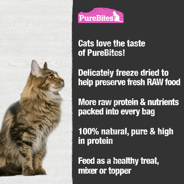 PureBites Freeze - Dried Wild - Caught Sockeye Salmon High - Value Cat Treats