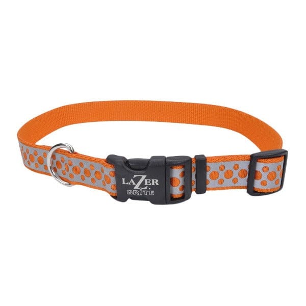 Lazer Brite Reflective Open-Style Adjustable Dog Collar for Enhanced Visibility