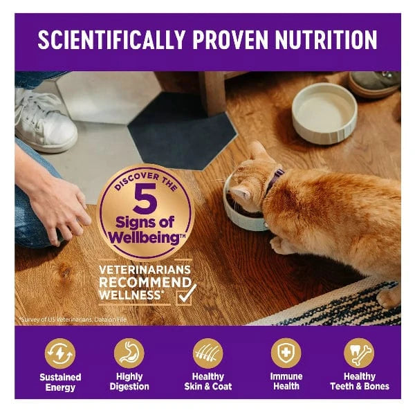 Wellness Complete Health Grain-Free Indoor Dry Cat Food with Deboned Chicken