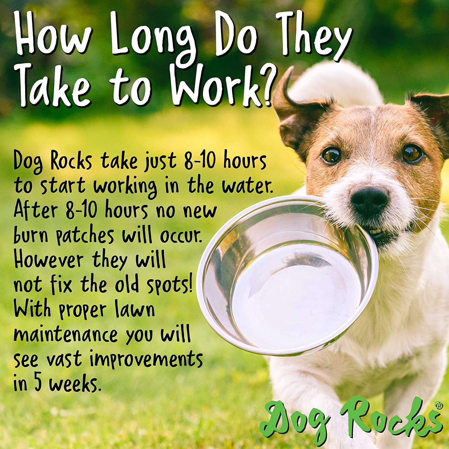 Dog Rocks 200g - Keep Your Lawn in Perfect Condition Naturally