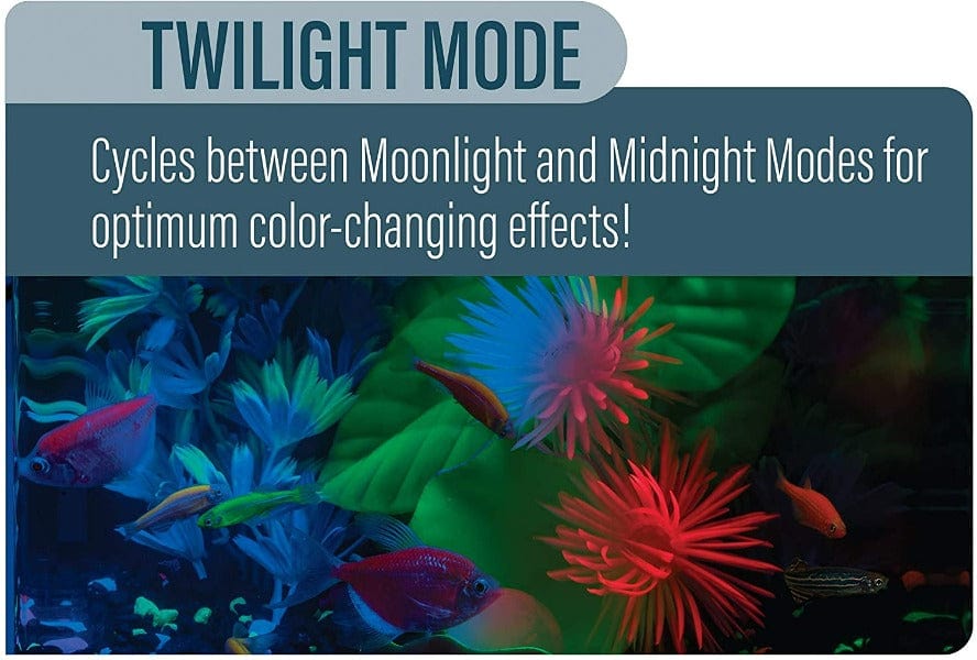 GloFish LED Cycle Light with 4 Color - Changing Modes