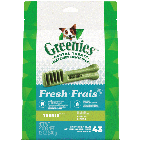Greenies Dental Dog Treats for Adult Small Dogs, 12 - ounce Pack of Fresh - Flavored Teenie Treats