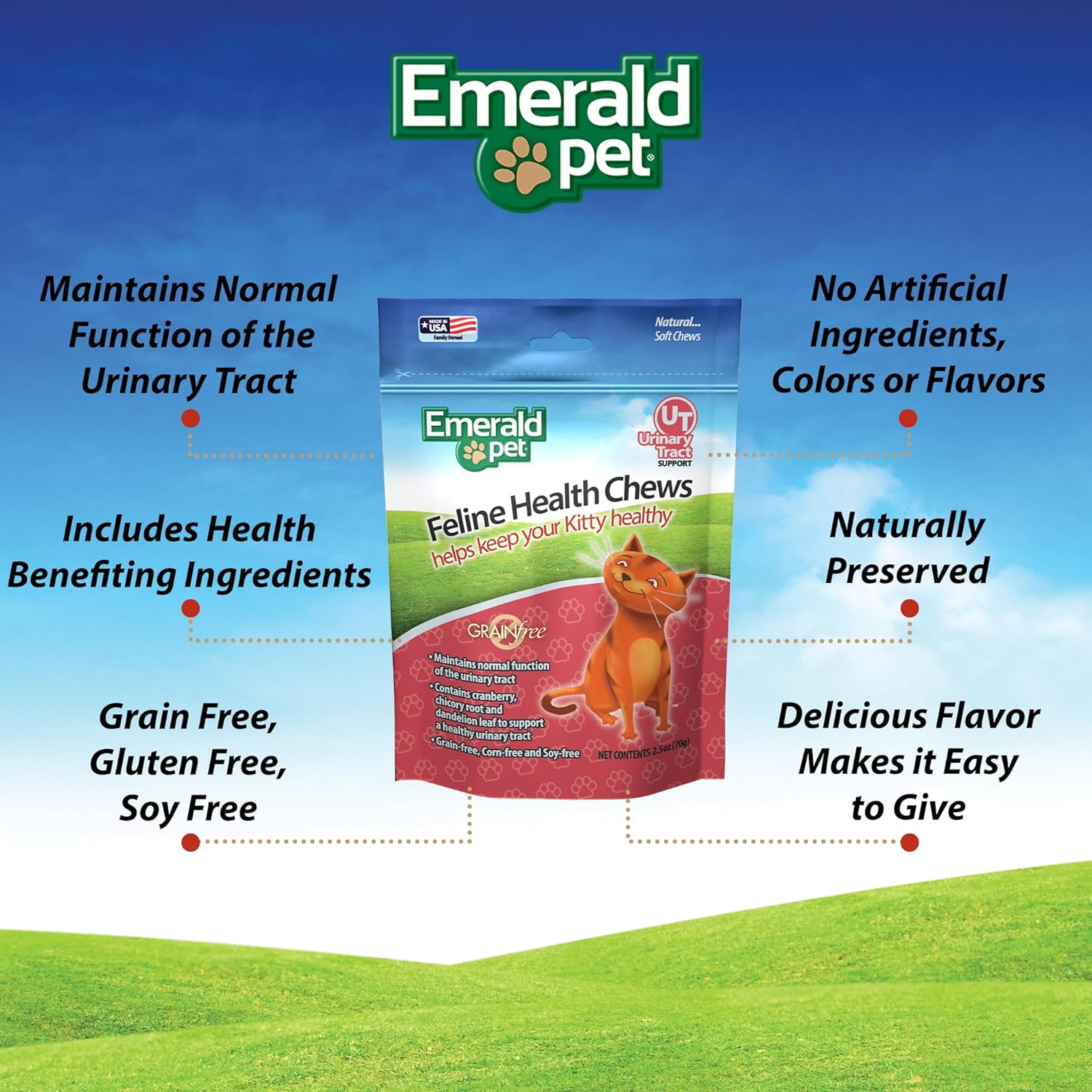 Emerald Pet Premium Feline Health Chews for Urinary Tract Wellness Support
