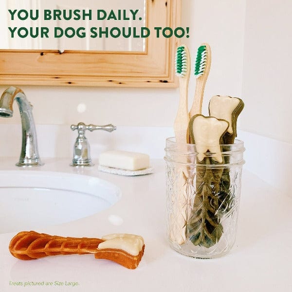 Whimzees Brushzees All - Natural Dog Dental Chews for Oral Hygiene