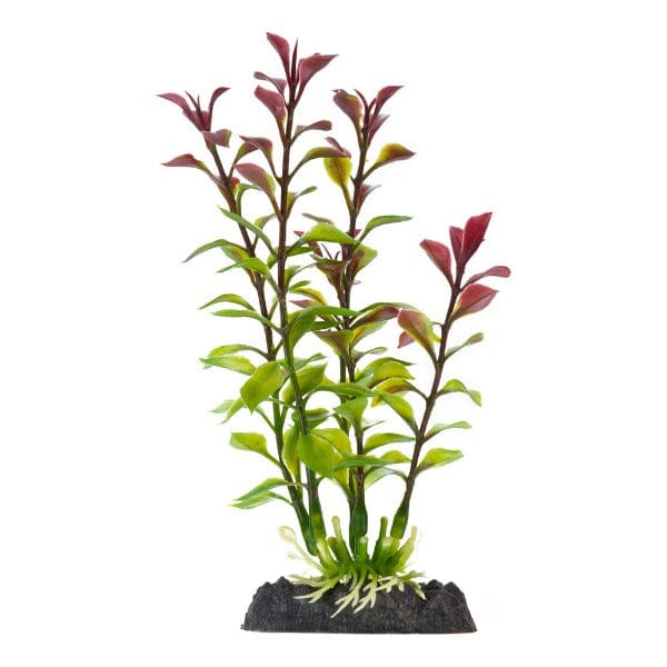 Licensed Finding Nemo Themed Medium Red Ludwigia Aquatic Plant