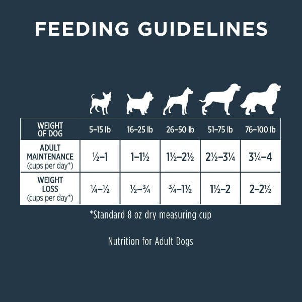 Instinct Premium Raw Boost Dry Dog Food with Real Chicken for Optimal Gut Health, 4 - pound Bag