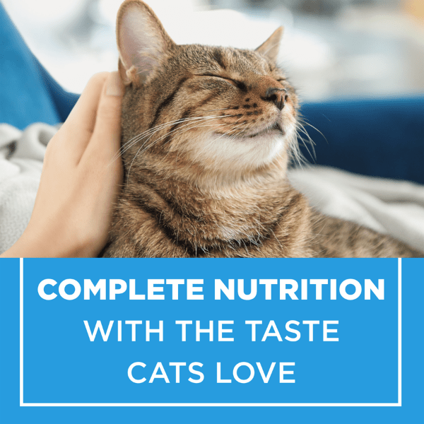 Purina Complete Dry Cat Food - Cat Chow for Cats of All Ages