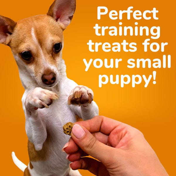 Fruitables Mini Skinny Dog Treats with Pumpkin & Mango Flavor