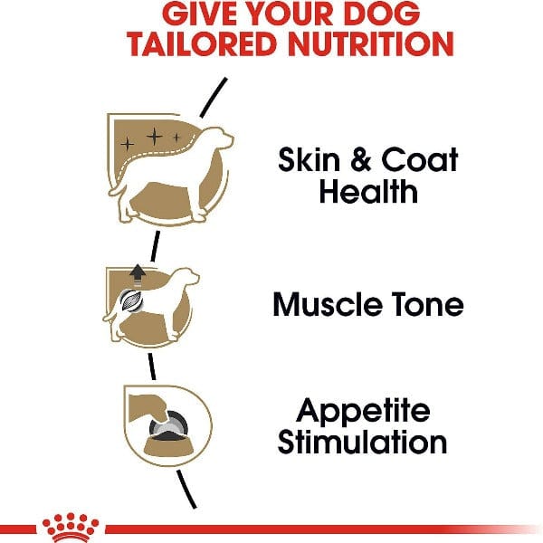 Royal Canin Canned Dog Food in Sauce for Dachshunds, 85g (3 oz) - Ideal for Purebred Dachshunds Over 10 Months