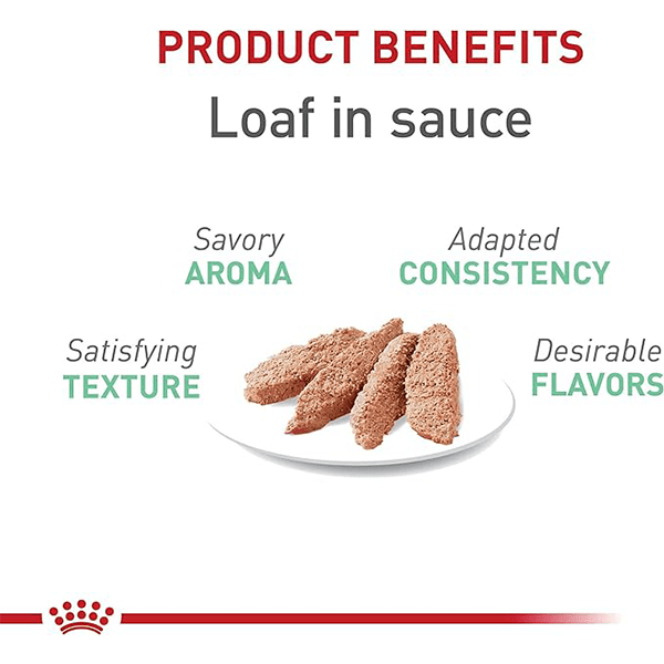 Royal Canin 145g Canned Cat Food with Digestive Care Loaf in Sauce