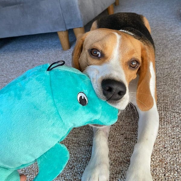 Tender-Tuffs Soft and Durable Big Shots Manatee Plush Toy for Dogs