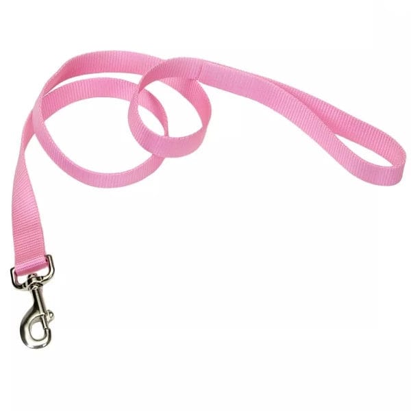 Coastal Classic Single-Ply Nylon Dog Walking Leash