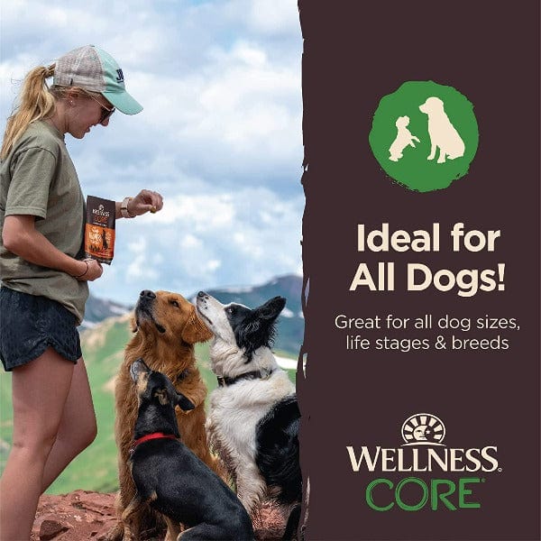 Wellness CORE Premium Tiny Trainers Tender and Delicious Lamb & Apple Dog Treats for Training