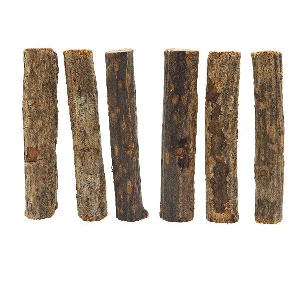 Living World Nibblers Kiwi Tree Branch Wood Chews for Small Animal Dental Care and Entertainment