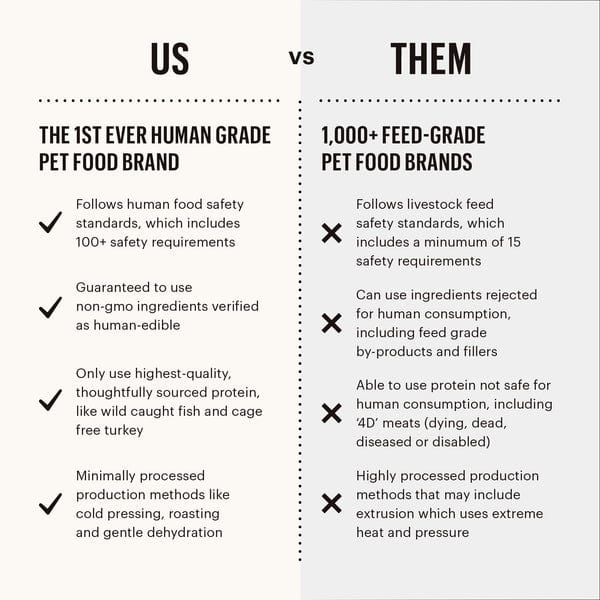 The Honest Kitchen Dehydrated Grain - Free Chicken Recipe Dog Food