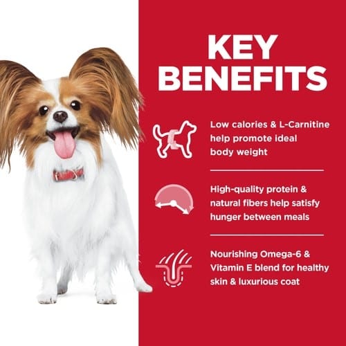 Hill's Science Diet Dry Dog Food for Adult Light Small & Mini Breeds with Chicken Meal & Barley, 4.5lb Bag