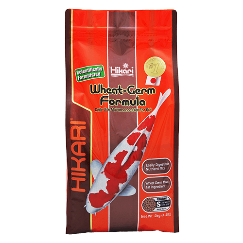 Hikari Floating Koi Wheat Germ Pellet - Ideal Daily Diet for Koi