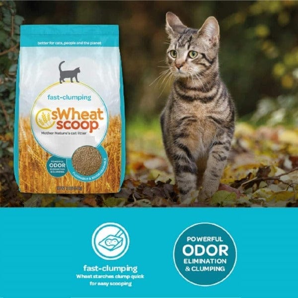 Original Fast - Clumping sWheat Scoop All - Natural Wheat Cat Litter