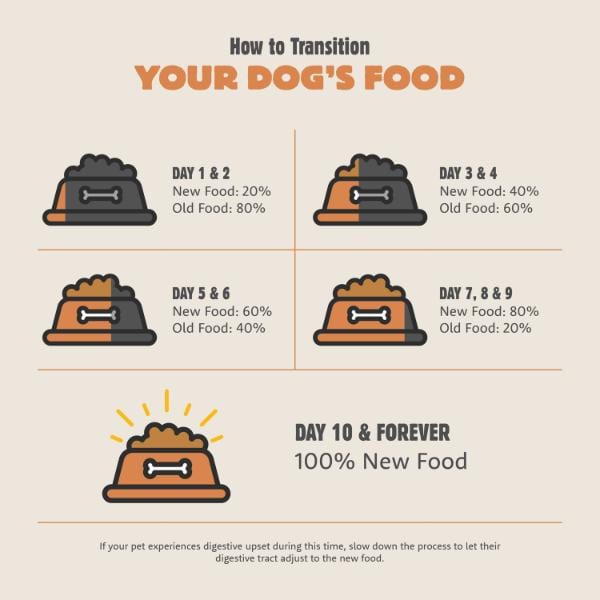 Petcurean Summit Coastal Grill Premium Adult Dry Dog Food with Chicken Meal & Salmon Meal