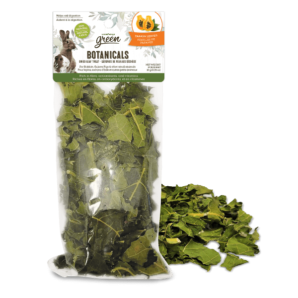Living World Green Botanicals' Tasty Dried Papaya Leaves Treat for Small Pets