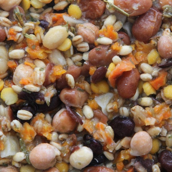 Higgins Worldly Inca Bean Salad Bird Food - A Tasty Mexican - Inspired Appetizer