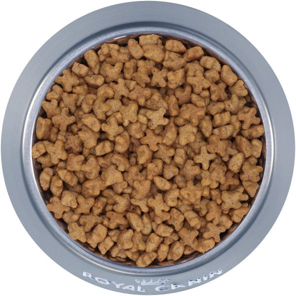 Royal Canin Dry Cat Food for Spayed/Neutered Kittens, 2.5 lb