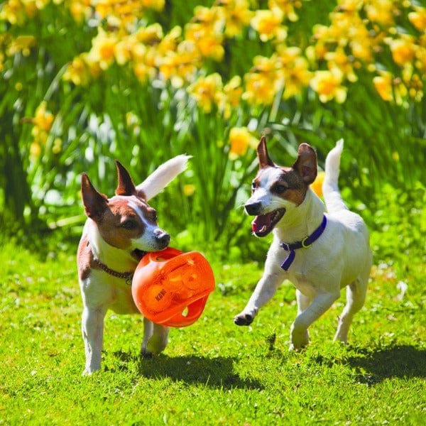 Assorted KONG Jumbler Ball - A Dynamic Interactive Dog Toy for Endless Fun