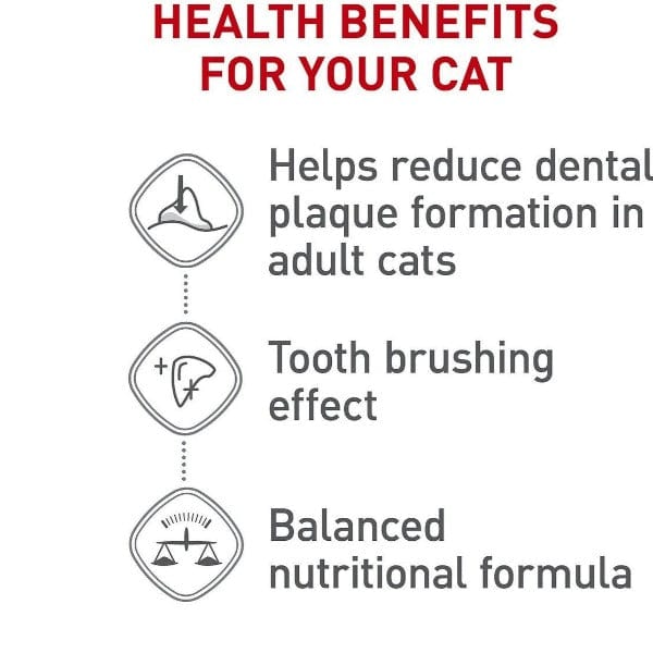 Royal Canin Adult Dry Cat Food for Optimal Dental Care