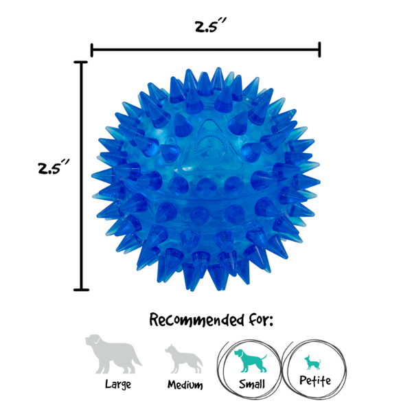 Adorable Small Squeaky Ball for Dogs with Spiky Texture