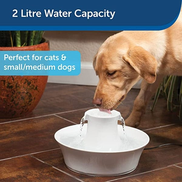 PetSafe Drinkwell Ceramic Avalon Premium Pet Water Fountain for Cats and Small to Medium Dogs