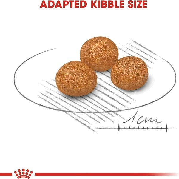 Royal Canin Dry Dog Food for Extra-Small Adult Dogs