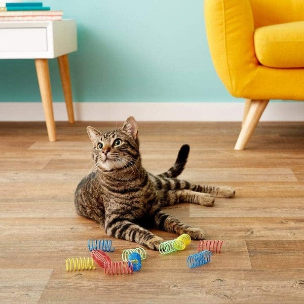 Wide Assorted Colorful Spot Springs Cat Toy Pack