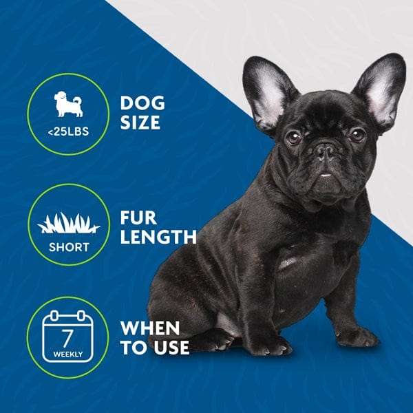 FURminator Small Dog Short Hair De - shedding Grooming Tool for Pets