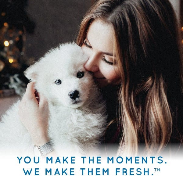Tropiclean OxyMed Medicated Oatmeal Treatment for Pets - A Powerful Skin Care Solution