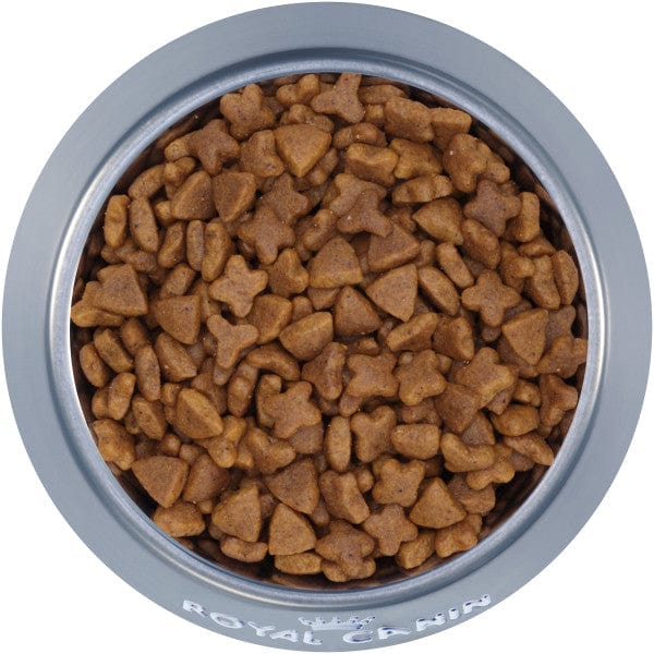 Royal Canin Adult Dry Cat Food for Sensitive Digestion