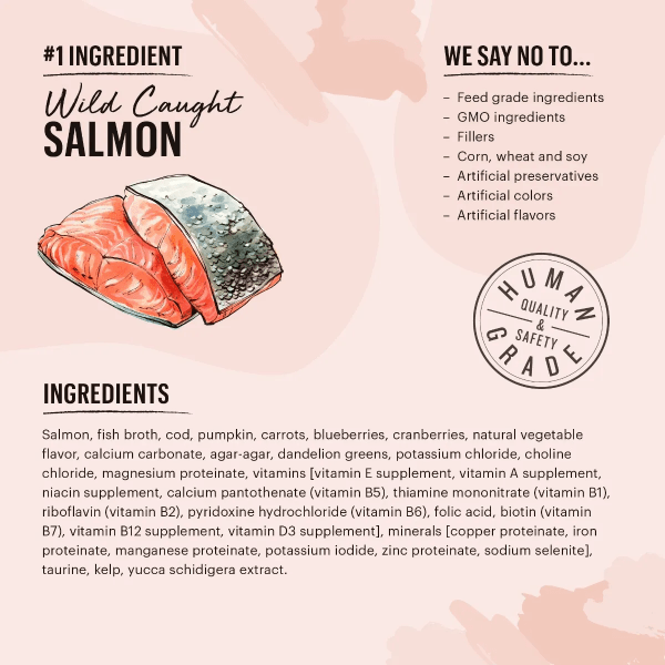 The Honest Kitchen Premium Grain - Free Wet Cat Food in Salmon & Cod Pate Style (Special Order Product)