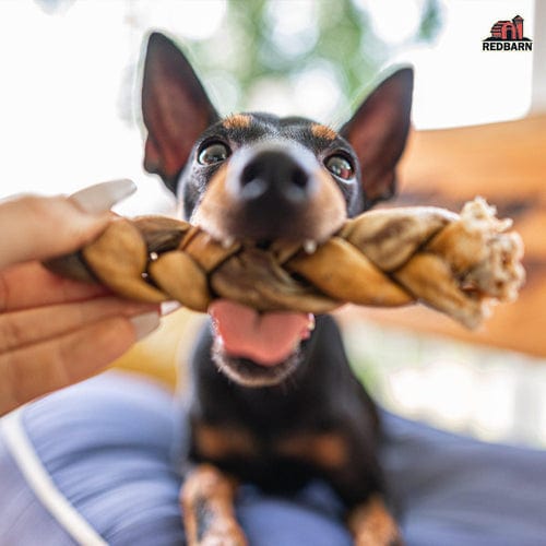 RedBarn Beef Collagen Puffed Braid Dog Chew Treat
