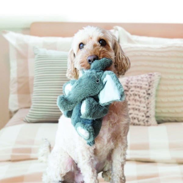 KONG Comfort Kiddos Plush Bear Dog Toy for Play and Cuddle