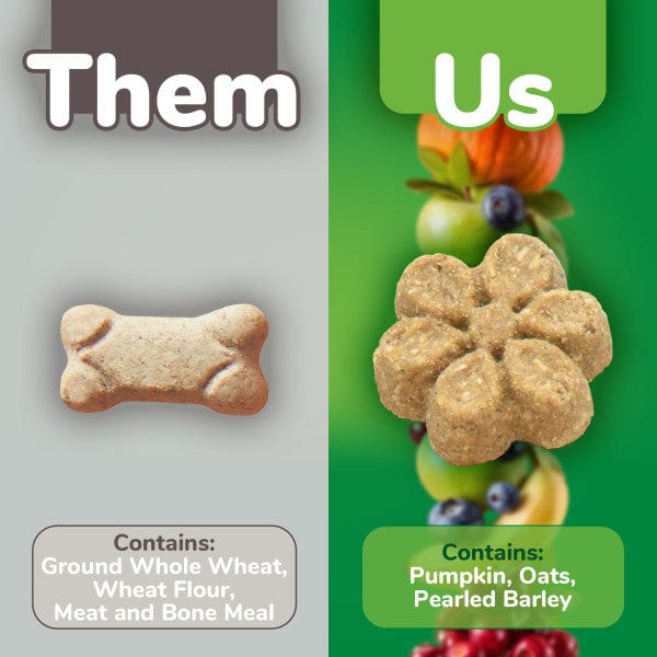 Fruitables Oven - Baked Pumpkin & Apple Low - Calorie Dog Treats