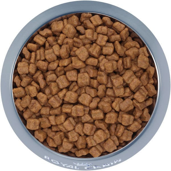 Royal Canin Premium Dry Dog Food for Boxer Puppies, 30 Pound Package